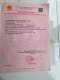Chính Chủ Cần Tiền Gấp – Bán Lô Đất Tdp Văn Tiến, Phường Hồng An, Tp Hải Phòng