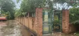 Bán Đất Dt: 1,1 Hecta (300M2 Thổ Cư), Có Sẵn Nhà Đường Xe Tải - 2 Mặt Tiền Tại Cẩm Mỹ, Đồng Nai