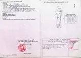 Chính Chủ Bán Nhà Vị Trí Đẹp - Góc 2 Mặt Tiền Gần Ngã Tư Tân Quy - Xã Tân Thạnh Tây, Củ Chi, Hcm
