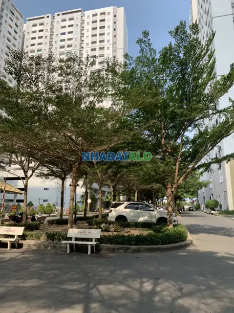 Siêu Phẩm Duy Nhất Tại Hqc Plaza, Giá 1 Tỷ , Diện Tích 55 M2