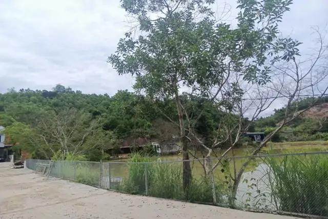 Chính Chủ Cho Thuê Đất 5.272M² (Có 400M² Thổ Cư) Tại Xã Như Xuân, Hỗ Trợ Cải Tạo