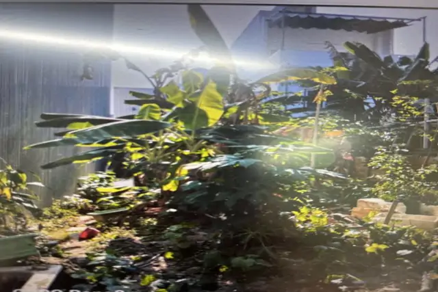 Cần Bán Nhanh Lô Đất Đường Lê Đỉnh Giá Sụp Hầm