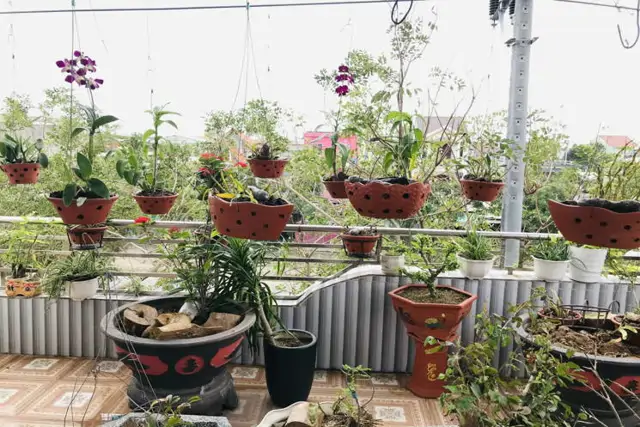 Siêu Phẩm Mặt Tiền Trường Sơn 4 Tầng Cẩm Lệ