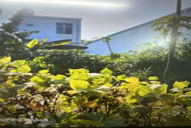 Bán Lô Đất Vàng Sông Hàn Đường Trần Hưng Đạo