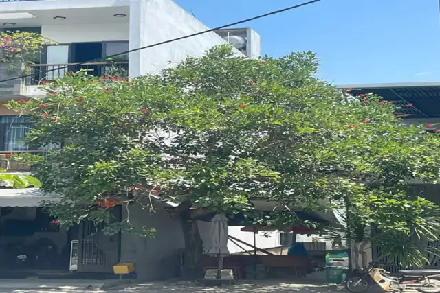 Bán Đất Cuối Đường Đặng Huy Tá Thông Hoàng Thị Loan, Q Thanh Khê, Đà Nẵng