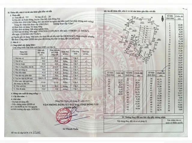 Trang Trại Chăn Nuôi Heo Qui Mô Lớn 10 Hécta Giá 155 Tỷ Giá Cả Thương Lượng Nhẹ