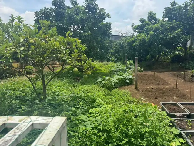 Chính Chủ Cần Bán Đất Tặng Nhà Mặt Tiền Nguyễn Đình Chiểu – P.1, Bảo Lộc, Lâm Đồng