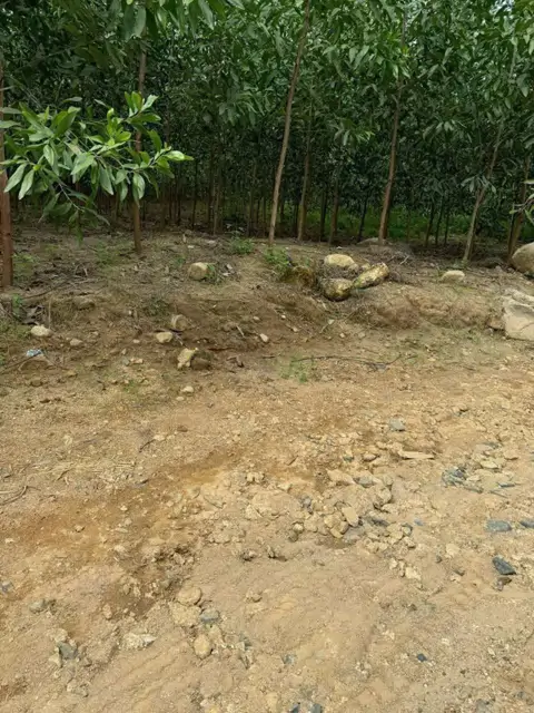 Bán Lô Đất Giá Chỉ 180Tr Dt:532,6M2 ( Ngang 9M)