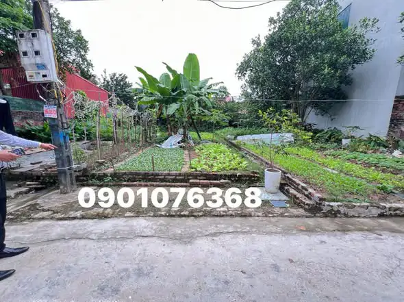Mảnh Đất Tiêu Đẹp 76M Oto Vào Tận Đất Ngay Ql 32 Tại Ngọc Tảo _ Phúc Thọ - Hà Nội