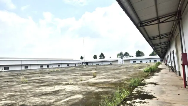 Bán Xưởng 40.000M2 Skc Huyện Trảng Bom, Đồng Nai Giá Chỉ 65 Tỷ ~~1,6Tr/m2