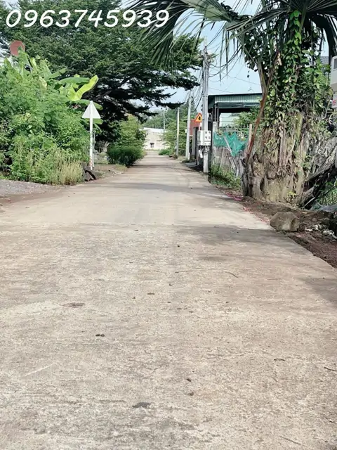 Cơ Hội Đầu Tư: 2065M2 Đất Đồng Nai, Mt 37M Khổng Lồ, Giá 2 Tỷ Xx, Tiềm Năng Lớn