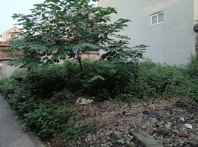 Cc Em Cần Tiền Muốn Lô Đất Ở Hiệp Thận Phúc Thọ.diện Tích 42M - Mặt -Hậu 4M Như Nhau,Cách Đường
