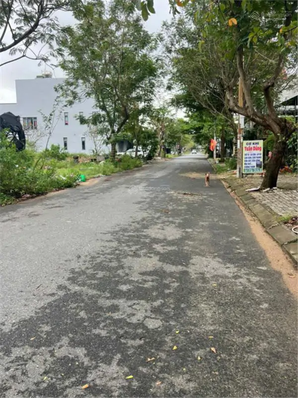 Bán Đất Thổ Cư Lê Thương, Hòa Hiệp Nam, Liên Chiểu, Đà Nẵng. 117M2, 5X23m, Giá 4.45  Tỷ, Sổ Đỏ,