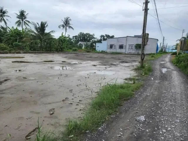 Bán 2000M2 Đất Lúa Khu Vực Chuyển Thổ , Thích Hợp Phân Lô