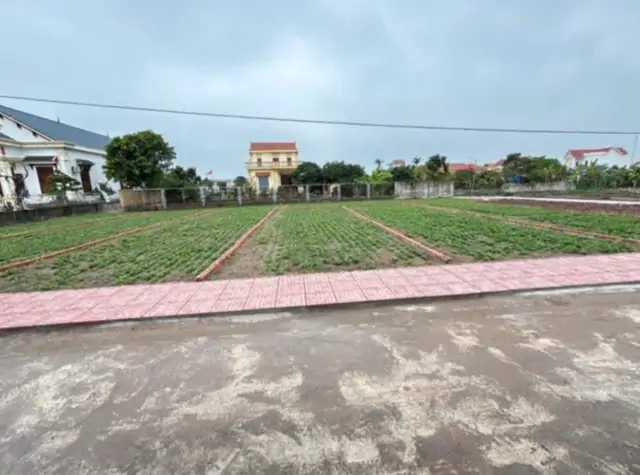 Nhỉnh 1Tỷ/lô Đất Biển – Kề Cận Khu Kinh Tế Ninh Cơ - Nam Định: Phân Ô Bàn Cờ, Sẵn Sổ. Lh: 0981691509