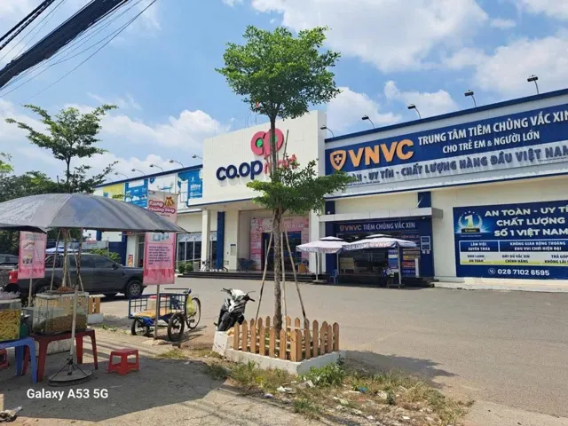 Nhà Đẹp – Giá Tốt – Chính Chủ Cần Bán Gấp Nhà Tại Thị Trấn Bến Lức, Huyện Bến Lức, Long An