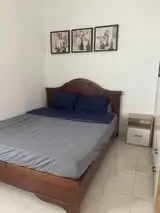 Cho Thuê Căn Hộ 40M² Phước Long A , Quận 9 , Giá Chỉ 5 Triệu/tháng