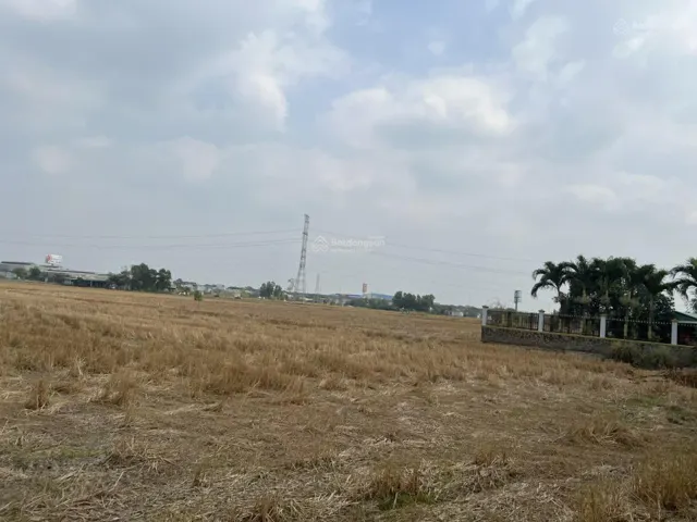 Bán Đất Tân Bửu, Bến Lức, Long An 20.335M2 Giá 3,5Tr/m Cách Đường Nguyễn Hữu Trí 300M