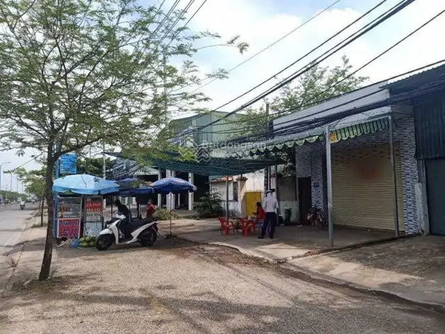 Cho Thuê Nhà Đất Mt Đường Trần Văn Giàu Xã Phạm Văn Hai. Bình Chánh 6.55 X50m, Giá 14Tr/tháng
