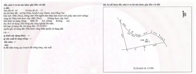 Cơ Hội Đầu Tư Sinh Lời - Chính Chủ Cần Bán Đất Tại Xã Tân Hiệp, Long Thành, Đồng Nai
