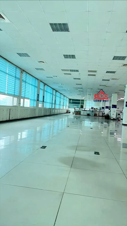 Xt168 Cho Thuê Nhà Xưởng Sx Linh Hoạt Nhiều Ngành Nghề, Tập Chung Nhiều Dn Fdi