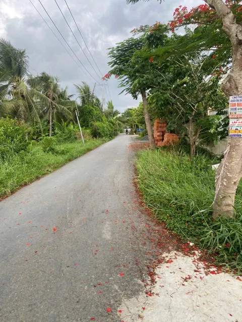 Mở Bán 10 Lô Đất Ao Gòn, Xã Tân Lân - Tỉnh Tây Ninh - Sổ Riêng Từng Lô