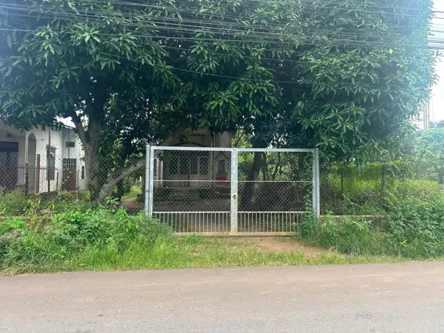 Chính Chủ Bán Đất Mặt Tiền Đường Nhựa – Xã Gia Kiệm, Đồng Nai
