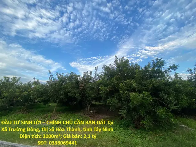 Đầu Tư Sinh Lời – Chính Chủ Cần Bán Đất Tại Xã Trường Đông, Thị Xã Hòa Thành, Tỉnh Tây Ninh
