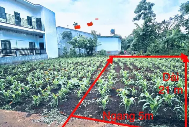 Đầu Tư Sinh Lời – Chính Chủ Cần Bán Đất Tại Phường Tân An (Trước Là Xã Eatu, Tp Buôn Mê Thuột),