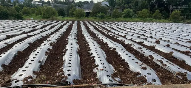 Chính Chủ Bán 2 Lô Liền Kề Full Tiện Ích Trung Tâm Ngãi Giao-Châu Đức