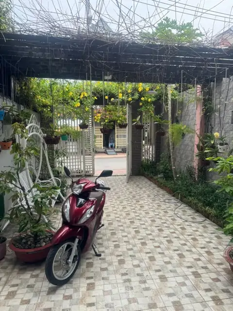 Mặt Tiền Mai Hắc Đế – Nhà Đẹp Đón Lộc, Kinh Doanh Hanh Thông