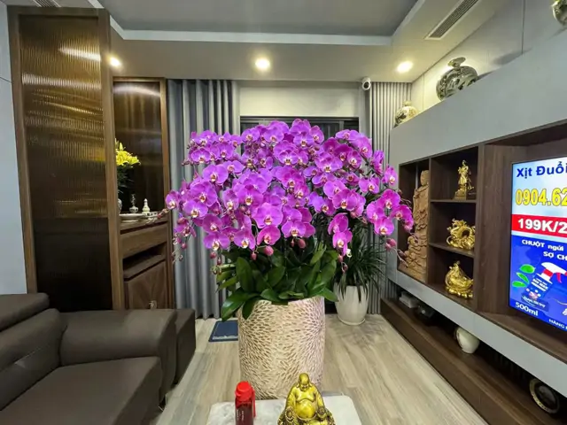 Chính Chủ Bán Căn D011004 – Diamond Palace, 25 Lê Văn Lương, Hà Nội
