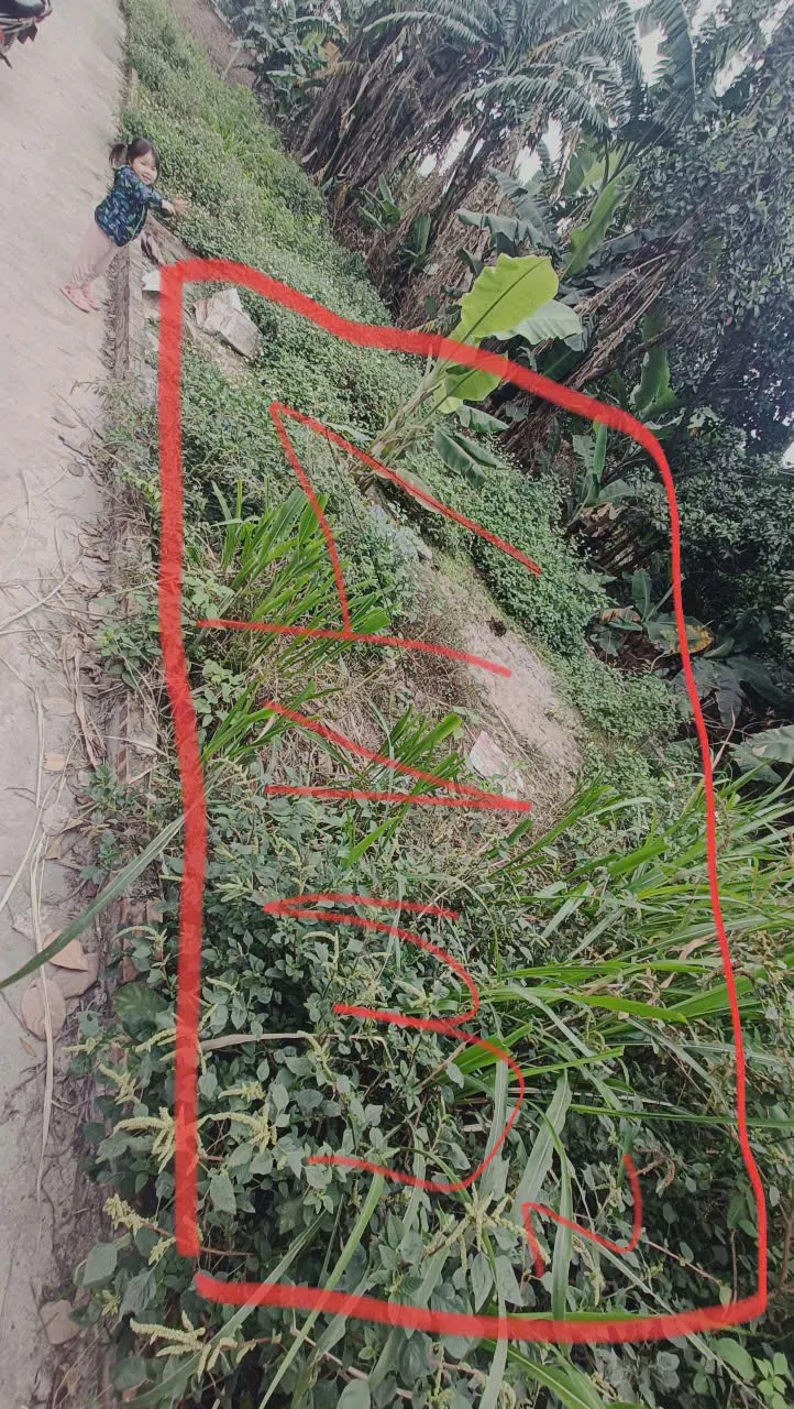 Bán Đất Nền Xóm 6, Tiền Lệ, Tiền Yên - Giá Tốt, Pháp Lý Rõ