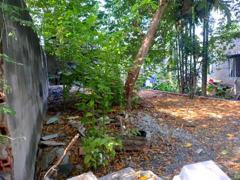 Đất Võ Thị Thừa, Quận 12: 46m2, Giá 2.x Tỷ - Vị Trí Đắc Địa