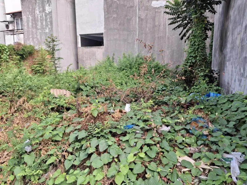 🔥[GIẢM 200TR] Đất HXH Nở Hậu Thạnh Lộc 22, Q12 - 81m² Giá Tốt