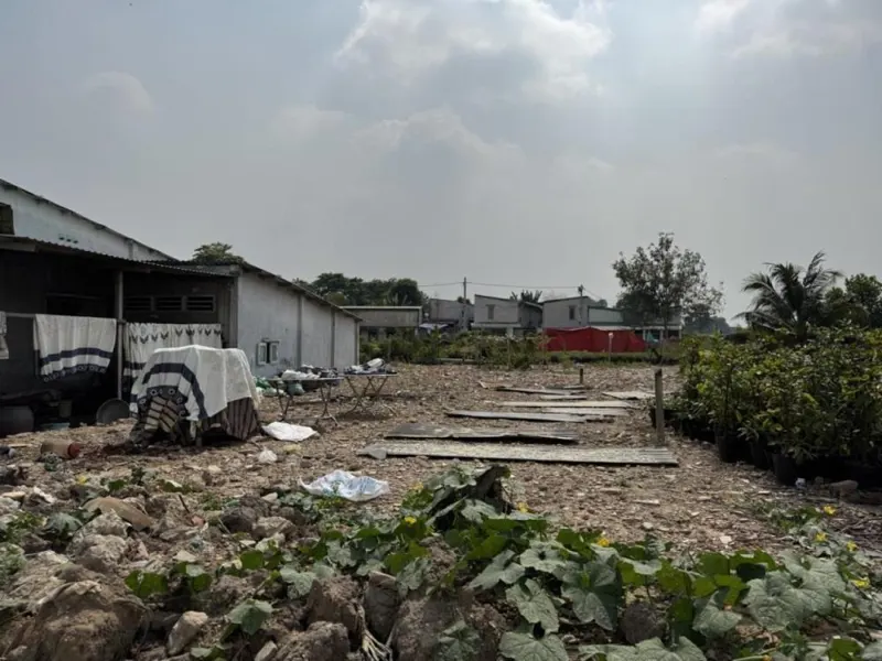 Đất Nở Hậu Vườn Lài Quận 12: 304m2, Ngang 4m, Giá Chỉ 13.7 Tỷ