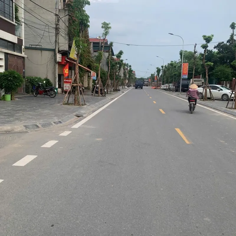 Đất Nam Hồng - Đông Anh: Đầu Tư Sinh Lời, Vị Trí Đắc Địa