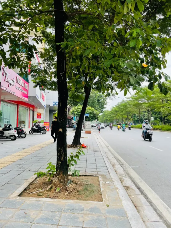 Bán Building Mặt Phố Nguyễn Khánh Toàn: 100m2, Kinh Doanh Đỉnh Cao