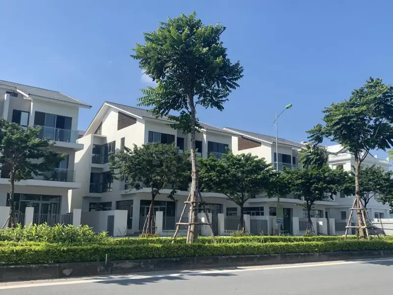 Cho Thuê Biệt Thự Dương Nội - Vị Trí Đẹp, Giá Tốt, Miễn Phí Đến 5 Tháng - ảnh 1