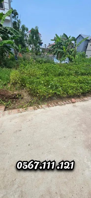 Bán Lô Đất 42m2 Xuân Nộn, Đông Anh - Vị Trí Đẹp, Giá Tốt