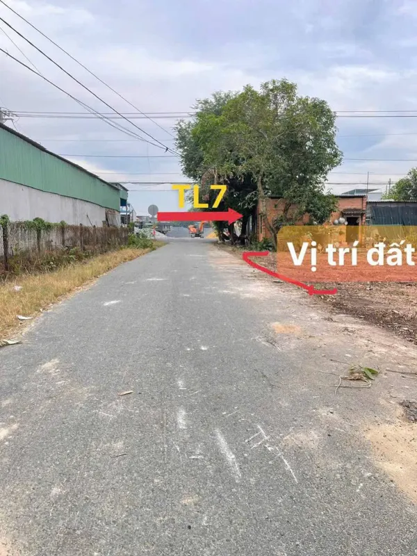 Đất nền Thái Mỹ Củ Chi: Sổ Hồng Riêng, Vay Ngân Hàng 70%, Đầu Tư Sinh Lời