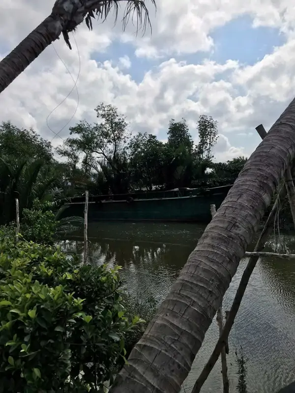 Bán Lô Đất View Sông Phong Phú, Bình Chánh - Vị Trí Đẹp, Giá Tốt