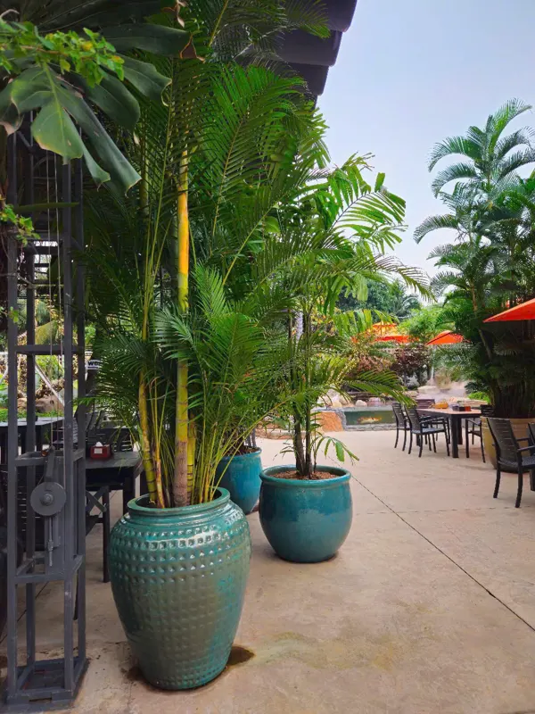 Bán Đất Chính Chủ HXH Long Thuận, P. Long Phước, Quận 9 - Vị Trí Đắc Địa, Tiềm Năng Đầu Tư