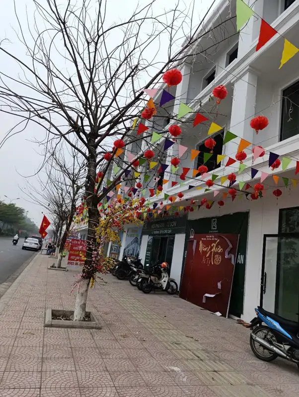 Nhà phố mặt đường đôi 40m, sát Vinhome Liên Hà, Từ Sơn, Bắc Ninh