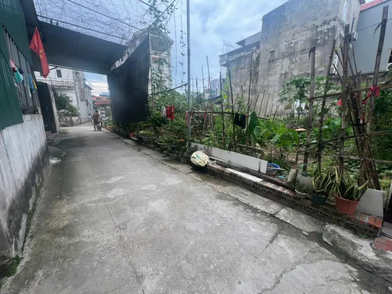 Bán Đất Lương Quy - Xuân Nộn, 56.4m², Ô Tô Vào Cửa, Giá 3.85 tỷ