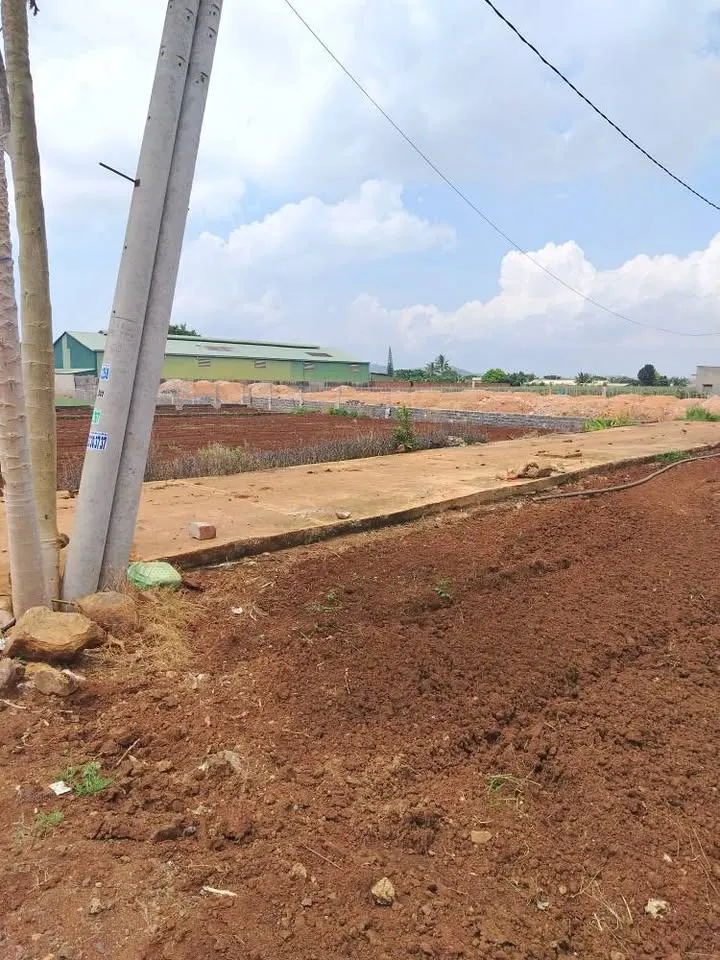 Bán Gấp Lô Đất Mặt Tiền Phước Thạnh, Củ Chi - Giá Tốt, Pháp Lý Rõ