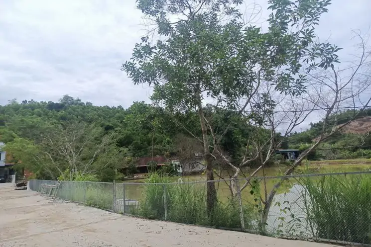 Chính Chủ Cho Thuê Đất 5.272M² (Có 400M² Thổ Cư) Tại Xã Như Xuân, Hỗ Trợ Cải Tạo