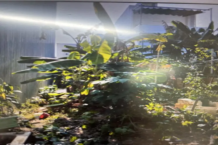Cần Bán Nhanh Lô Đất Đường Lê Đỉnh Giá Sụp Hầm - ảnh 1