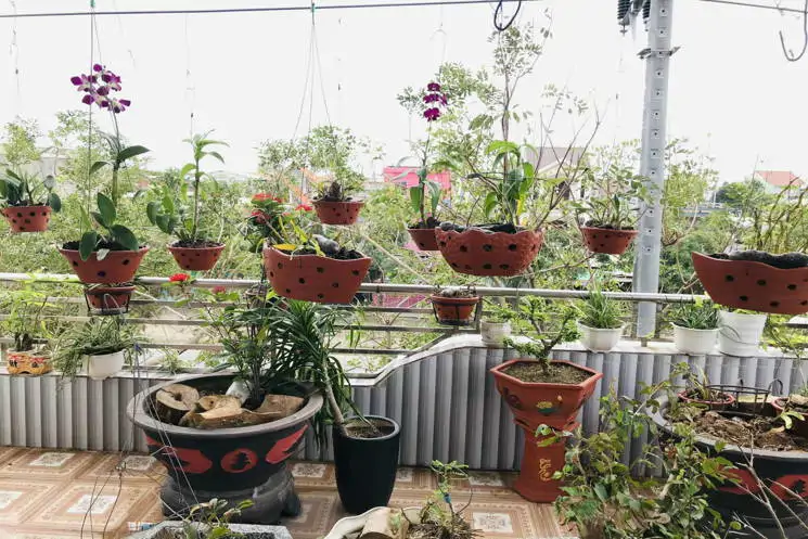 Siêu Phẩm Mặt Tiền Trường Sơn 4 Tầng Cẩm Lệ - ảnh 1