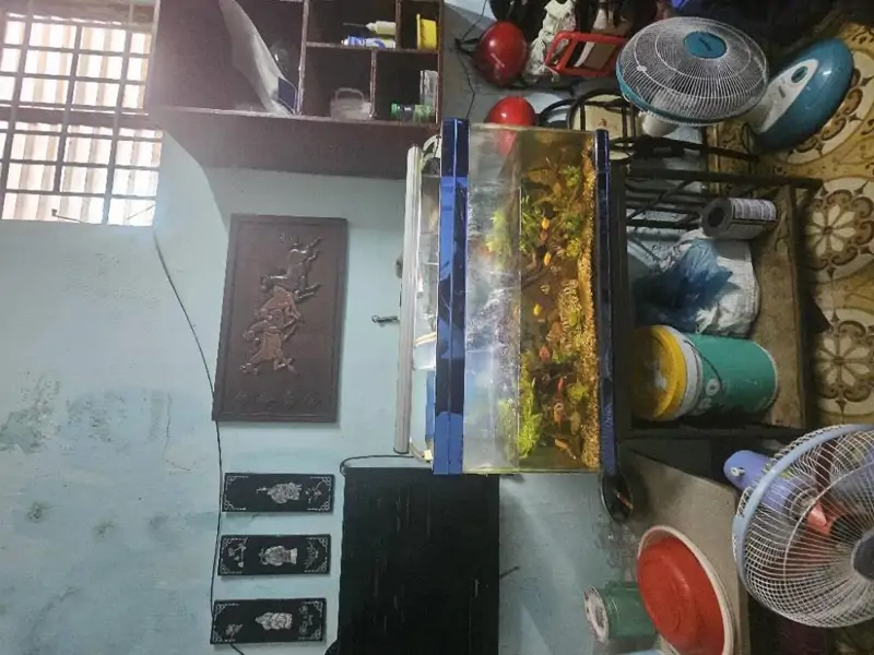 Nhà phố Lê Văn Sỹ, Phú Nhuận: 4m x 28m, Giá 9.35 tỷ, Sổ Hồng Riêng